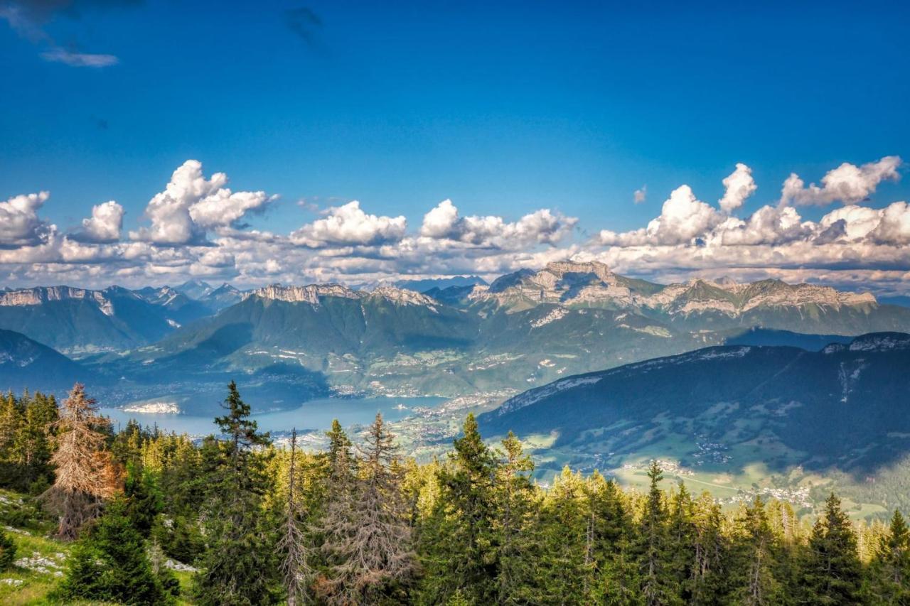 3 Bedroom - Heart Of Annecy - No Wifi Экстерьер фото